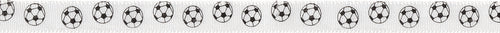 Offray Sports Icon Ribbon 3/8"X12'