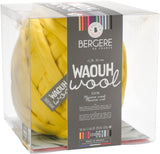 Bergere De France Waouh Yarn