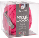 Bergere De France Waouh Yarn