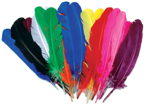 Turkey Quill Feathers 25/Pkg