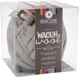 Bergere De France Waouh Yarn