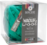 Bergere De France Waouh Yarn