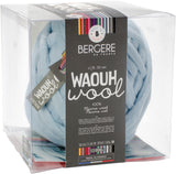 Bergere De France Waouh Yarn