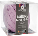 Bergere De France Waouh Yarn