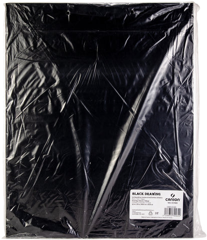 Canson Colorline Art Board 16"X20"