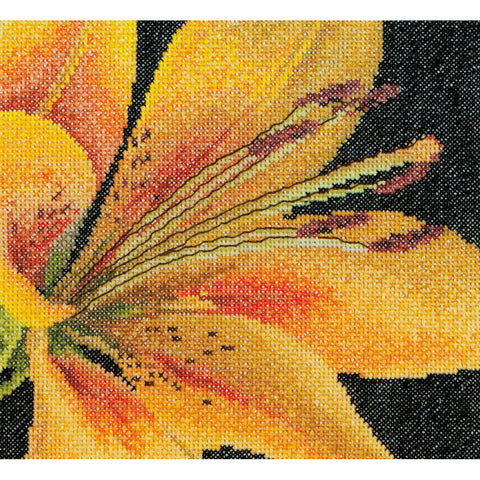 Thea Gouverneur Counted Cross Stitch Kit 6"X5.5"
