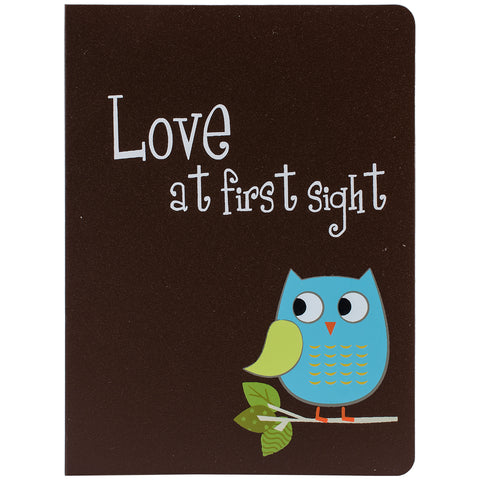 Pioneer Baby Owl Brag Book Album 4"X6"