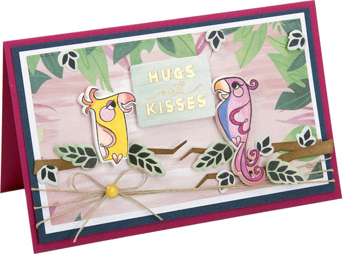 Sizzix Framelits Die & Stamp Set By Lindsey Serata 11/Pkg