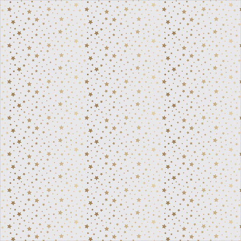 DIY Shop 4 Specialty Cardstock 12"X12"