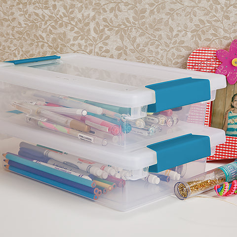 Sterilite Small Clip Storage Box