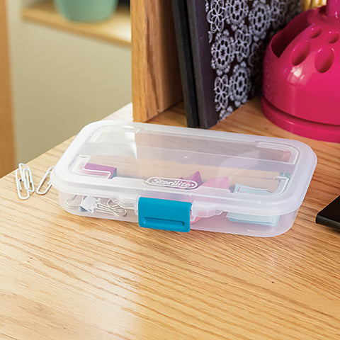 Sterilite Small Divided Storage Box