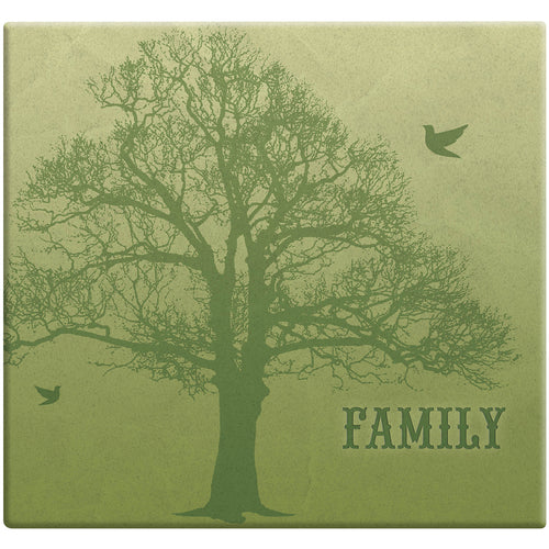 MBI Family Tree Post Bound Album W/Name Window 12"X12"