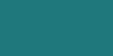 Jacquard Neopaque Acrylic Paint 2.25oz