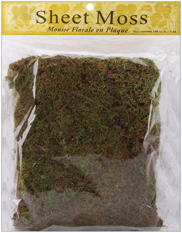 Panacea Spanish Sheet Moss 3oz