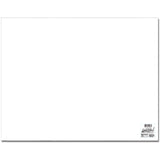 Posterboard 22"X28" 2/Pkg