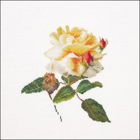 Thea Gouverneur Counted Cross Stitch Kit 9.75"X9.75"