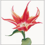 Thea Gouverneur Counted Cross Stitch Kit 13.25"X14"
