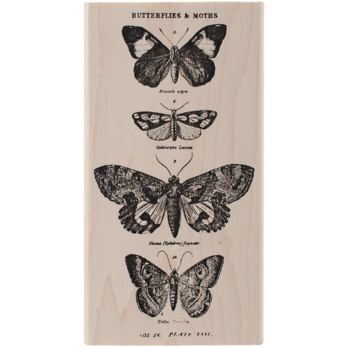 Tim Holtz Mounted Red Rubber Stamp 2.5"X5"