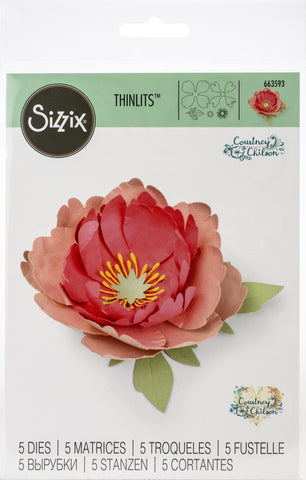 Sizzix Thinlits Dies By Courtney Chilson 5/Pkg