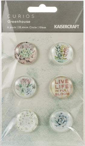 Greenhouse Adhesive Curios 6/Pkg