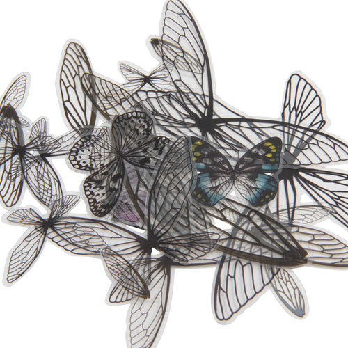 Idea-Ology Transparent Acetate Wings 72/Pkg