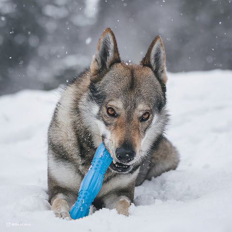 Pro Fit 11.5" Foam Stick Toy