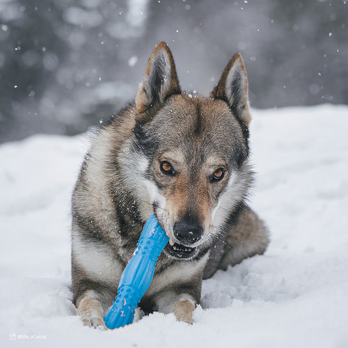 Pro Fit 11.5" Foam Stick Toy