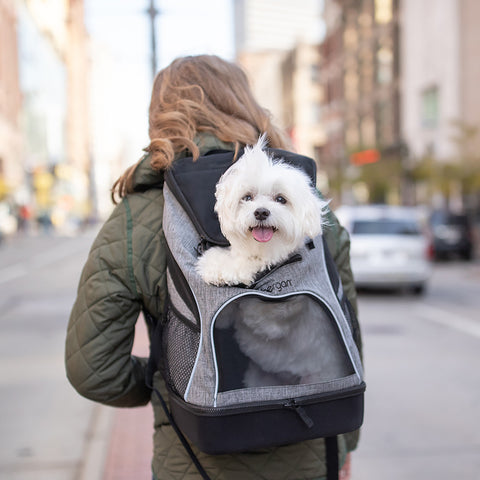 Bergan Backpack Pet Carrier 11.5"X9"X17.5"