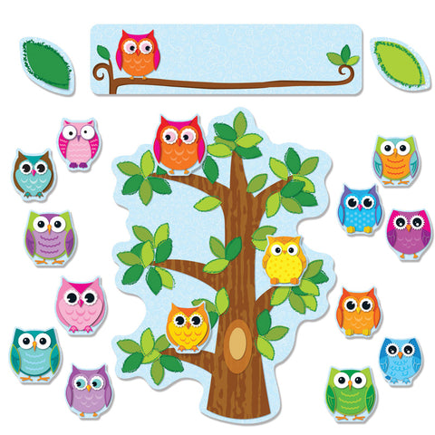 Colorful Owls Behavior