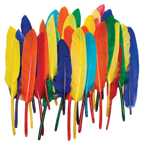 Duck Quills, Assorted Colors, 3 To 5, 14 Grams
