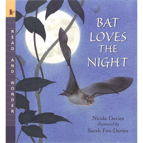 Bat Loves The Night