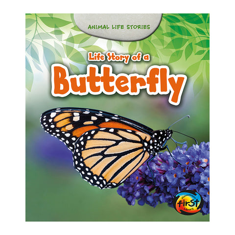 Life Story Of A Butterfly
