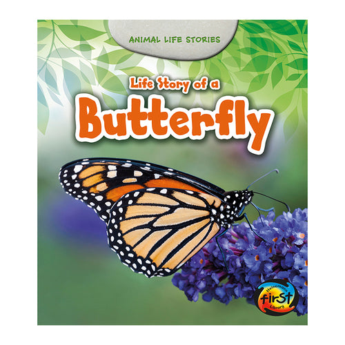 Life Story Of A Butterfly