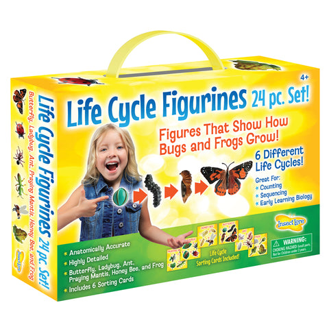Life Cycle Figurines 24Pc. Set