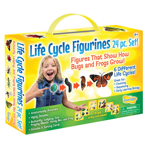 Life Cycle Figurines 24Pc. Set