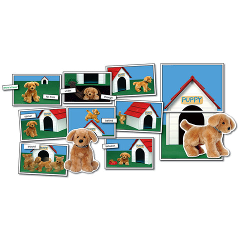 Positional/Directional Concepts: Where Is Puppy?