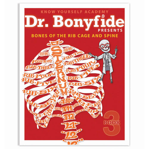 Bones Of Rib Cage And Spine, Dr. Bonyfide Activity Workbook