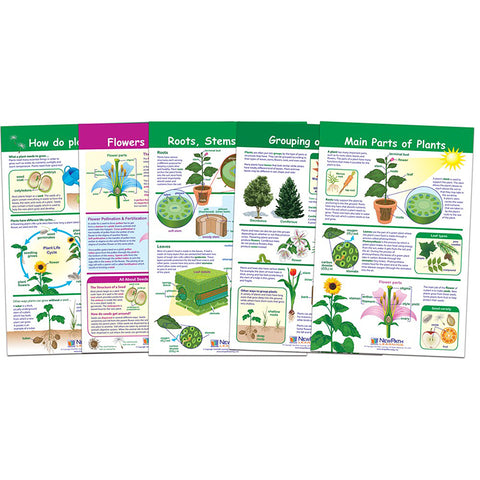 All About Plants Bulletin Board Charts, Set Of 5