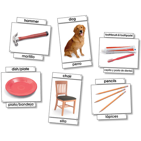 Basic Vocabulary Language Cards, 31/Pkg