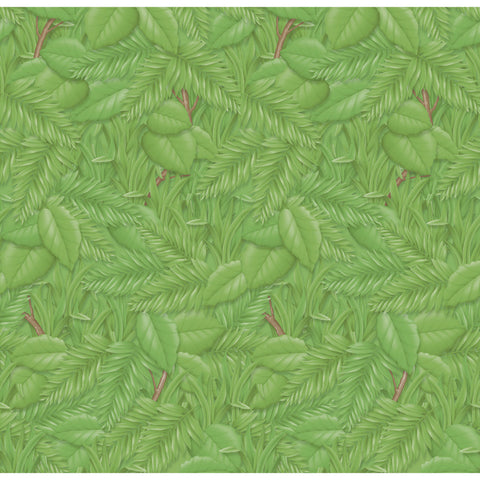 Bulletin Board Art Paper, Tropical Foliage, 48 X 12', 4 Rolls