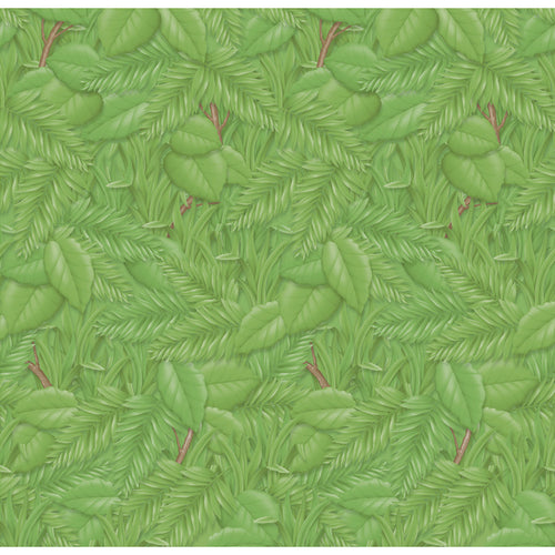 Bulletin Board Art Paper, Tropical Foliage, 48 X 12', 4 Rolls