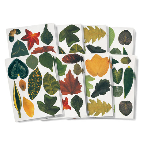 Roylco Paper Leaves, 266/Pkg