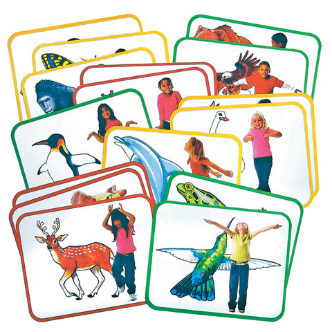 Roylco Body Poetry: Animal Action Cards, 16/Pkg