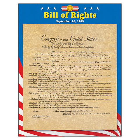 Bill Of Rights Learning Chart, 17 X 22