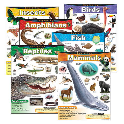 Exploring... Series Learning Charts Combo Pack, Set Of 6