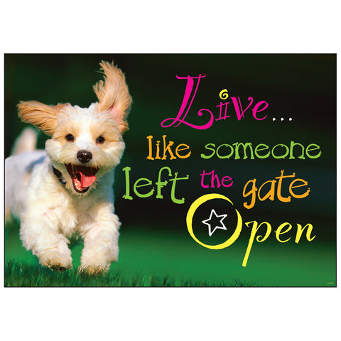 Live Like Someone Left Gate Lp Argus Poster, 13.375 X 19