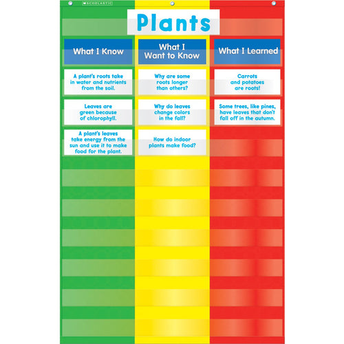 Scholastic 3-Column Chart Pocket Chart With Cards