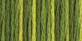 DMC Color Variations 6-Strand Embroidery Floss 8.7yd