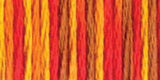 DMC Color Variations 6-Strand Embroidery Floss 8.7yd