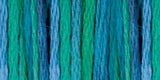 DMC Color Variations 6-Strand Embroidery Floss 8.7yd